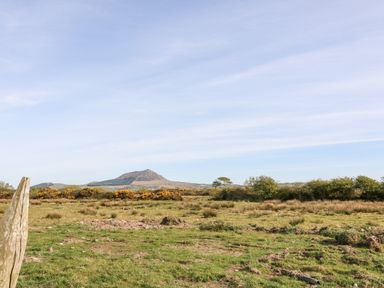 A grassy field with bushes and a mountain in the background at Min-y-rhos in Edern