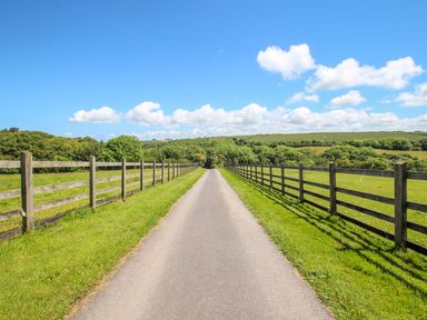 A paved road between wooden fences with grass fields and trees under a blue sky at Sunbury Barn in St Agnes