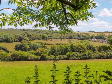 A green field with trees and hills in the background under a blue sky with clouds at Sunbury Barn in St Agnes