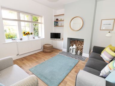 A living room with a fireplace containing logs and lanterns a blue rug wooden floor a window with sunflowers and a television at Teviot Cottage in Corbridge