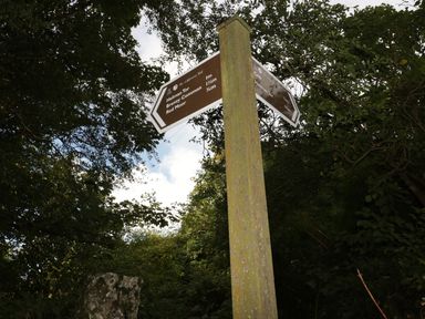 A wooden signpost with directions in a wooded outdoor area with trees and bushes