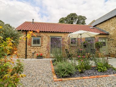 A stone cottage with tiled roof a gravel path and a flower bed with an umbrella at Wallerthwaite Barn Cottage in Markington