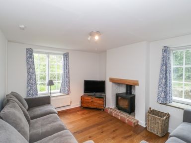 A living room with a gray sofa wooden floor a fireplace a television on a wooden stand and blue patterned curtains at Church View in Salisbury