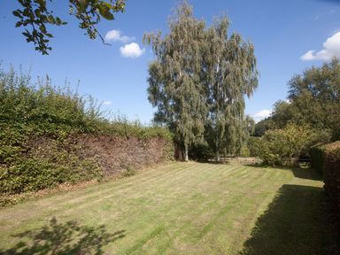 A grassy backyard with a large tree and hedges under a blue sky at Church View in Salisbury