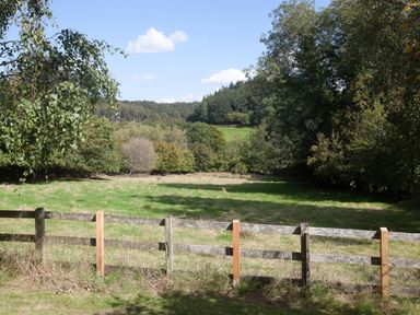 A grassy field enclosed by a wooden fence with trees and a forested area in the background at Church View in Salisbury