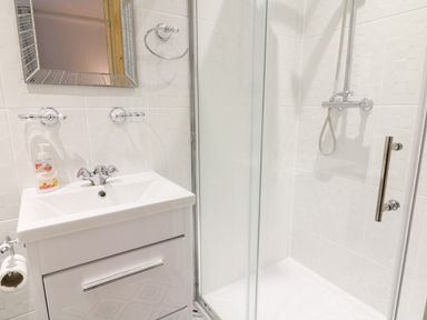 A bathroom with a sink and mirror next to a glass shower enclosure at Giddy Goose in Windermere