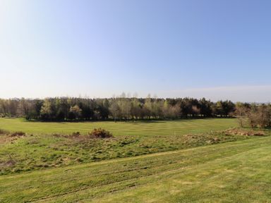 A grassy field with a row of trees in the background under a clear blue sky at Percy Wood Country Park in Swarland