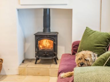 A dog lying on a sofa with green cushions near a lit wood stove in a room at Beach Retreat in Instow