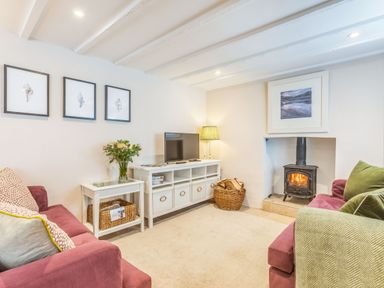A living room with two sofas a wood-burning stove a television and framed pictures at Beach Retreat in Instow