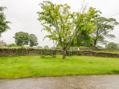 A garden with a tree, wooden benches, a picnic table, and stone walls at Wagtail Nest Northfield Cottage in Scalby