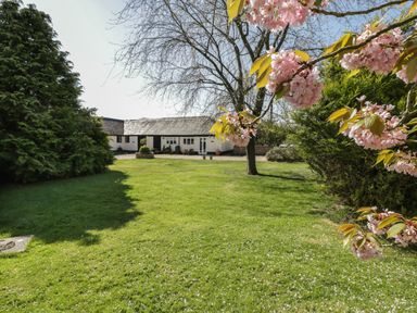 A garden with a lawn trees and flowering branches in front of a white cottage at Orchard Cottage in Shaftesbury