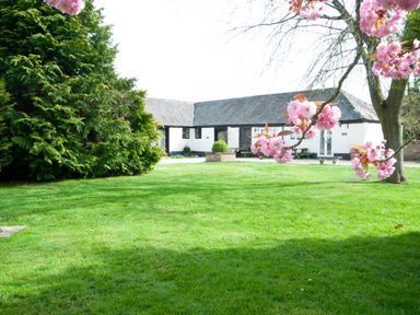A grassy garden area with a large bush and a white house with black doors and windows framed by pink flowers at Orchard Cottage in Shaftesbury