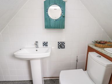 A bathroom with a white sink and toilet a teal mirror and a countertop with a basket at The Hen Pen Star near Cenarth