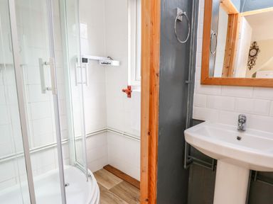A bathroom with a shower enclosure a white sink a mirror and a towel rail at The Hen Pen Star near Cenarth