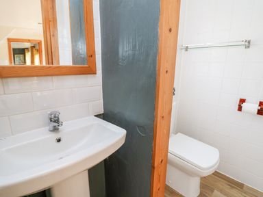 A bathroom with a sink and mirror on the left and a toilet with a toilet paper holder on the right at The Hen Pen Star near Cenarth