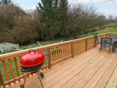 A wooden deck with a red barbecue grill and a black table with chairs overlooking trees and grass at The Hen Pen in Star near Cenarth