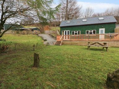A green wooden house with a deck and picnic table in the grassy yard at The Hen Pen in Star near Cenarth