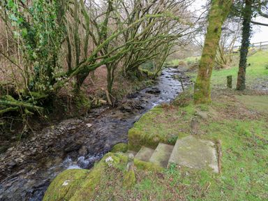 A small stream running through a wooded area with mossy trees and a set of stone steps next to the water at The Hen Pen in Star near Cenarth