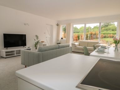 A living room with a large television a grey sofa a cream sofa a dining table set with bowls glasses and flowers and large windows overlooking a garden at Thames Reach in Wallingford
