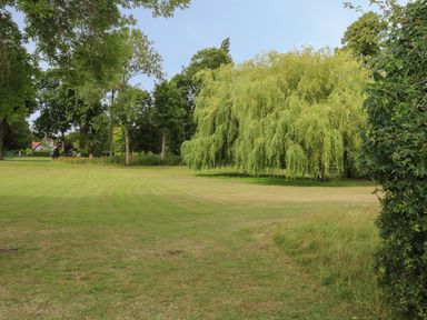 A grassy lawn with several trees and a house in the background at Thames Reach in Wallingford