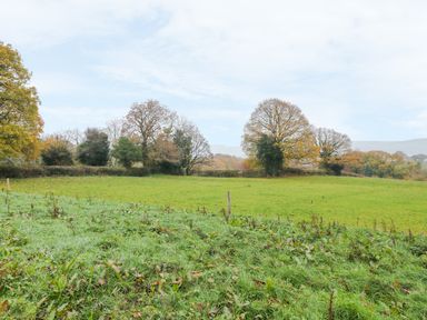 A grassy field with scattered trees and hedges under a cloudy sky at Ty Berllan in Caersws