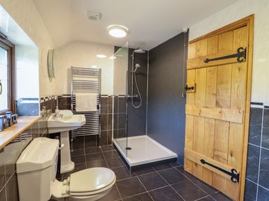 A bathroom featuring a sink, toilet, shower, and towel rail at Ty Berllan in Caersws