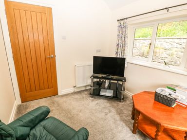 A small sitting room with a green armchair a wooden door a TV on a glass stand a wooden table and a window with patterned curtains at Ochr Y Garth in Maenan