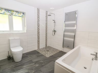 A bathroom with a toilet shower area with mosaic tiles bathtub and towel radiator at Ochr Y Garth in Maenan