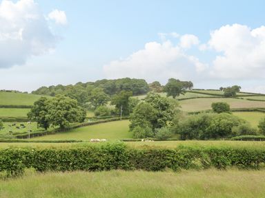 A rural landscape with green fields trees sheep and cows at Ochr Y Garth in Maenan