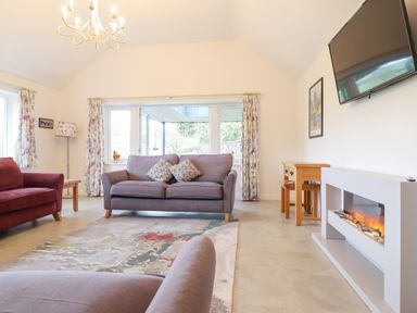 A living room with sofas a television and an electric fireplace at Ochr Y Garth in Maenan
