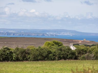 Green fields and trees with a house and ocean with cliffs in the background at Oreos Cottage in St Agnes