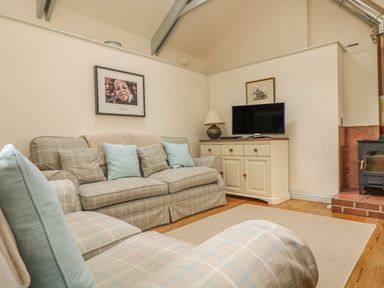 A living room with patterned sofas a TV on a cabinet and a wood stove at Oreo's Cottage in St Agnes