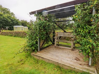 A wooden bench under a partially covered wooden pergola with climbing plants in a grassy garden at The Lodge in Rosemarket
