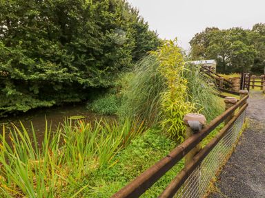 A pathway next to a wooden fence and dense greenery by a small pond at The Lodge in Rosemarket