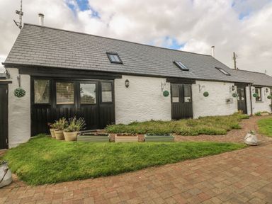A row of white stucco cottages with black doors and windows and flower pots on a brick pathway at Heather Cottage in Rosemarket
