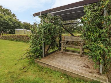 A wooden bench under a pergola covered with climbing plants in a garden with grass and stone wall at Cowslip Cottage in Rosemarket