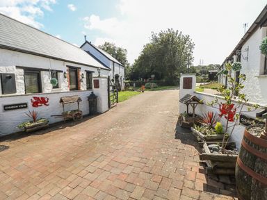 A paved driveway between two white buildings with red dragon decorations and planters at Primose Cottage in Rosemarket