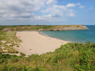 A sandy beach with people and umbrellas near green vegetation and a rocky coastline by the sea at Shepherds Hut - The Crook in Rosemarket near Neyland