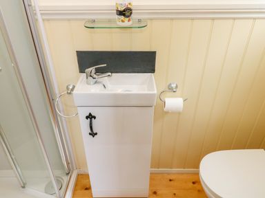 A small bathroom sink with faucet and toilet paper holder next to a shower at Shepherds Hut - The Crook Rosemarket near Neyland