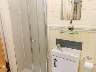 A small bathroom with a shower enclosure a white sink with a cabinet a mirror and a toilet paper holder at Shepherds Hut - The Crook Rosemarket near Neyland