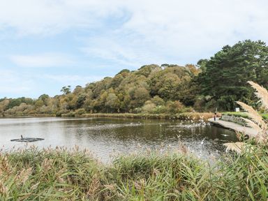 A lake surrounded by trees with birds flying near a walking path at Phenests in Falmouth