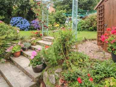 A garden with flower pots on stone steps and a wooden shed in the background at Phenests in Falmouth
