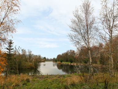 A small lake surrounded by trees and grass with a cloudy sky at Avonal Lodge (24) in Dunning