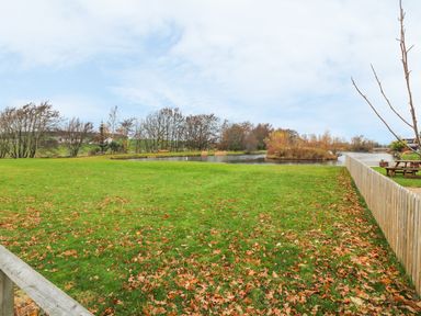 A grassy field with fallen leaves near a body of water and trees at Avonal Lodge (24) in Dunning
