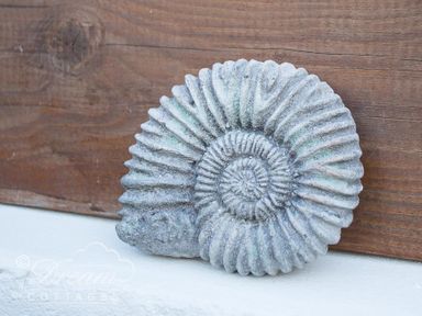 A decorative stone ammonite fossil on a white surface against a wooden background at Ammonite Cottage in Fortuneswell Portland