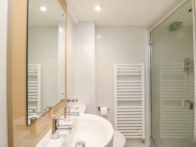 A bathroom with a sink a mirror a towel radiator a toilet paper holder and a glass shower enclosure at Barley Mews in Brewers Quay Harbour
