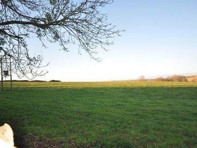 A grassy field with a tree branch extending from the left side at Baytree Lodge in Osmington