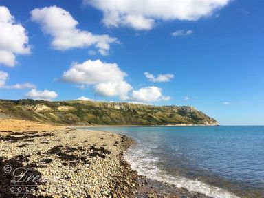 A pebble beach with seaweed by a cliff with vegetation under a blue sky with clouds at Baytree Lodge in Osmington