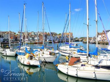 A marina with multiple sailboats docked in calm water and buildings in the background