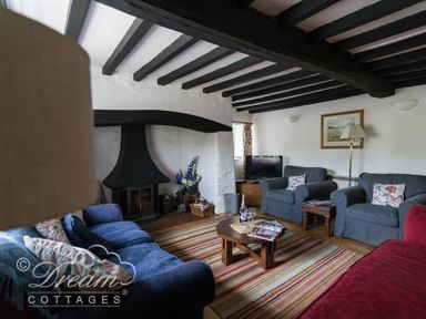 A living room with a striped rug blue and gray sofas a wooden coffee table a black fireplace and a television at Little Berwick Cottage Burton Bradstock